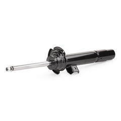 BMW SHOCK ABSORBER  2WD F  31316873797 31306850903 31316791555 31316791663 31316850902 31316856696 31316850357